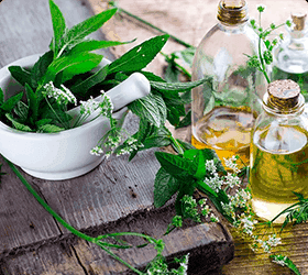 Ingredienti principali di Elesse Cream